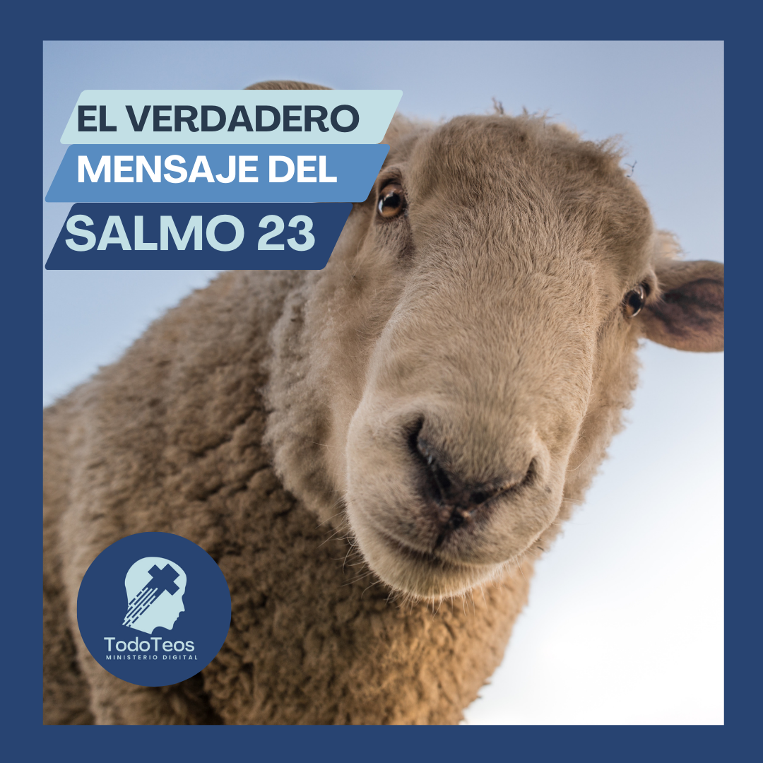 TodoTeos ReflexiÃ³n BÃ­blica sobre el Salmo 23 El SeÃ±or es Mi Pastor